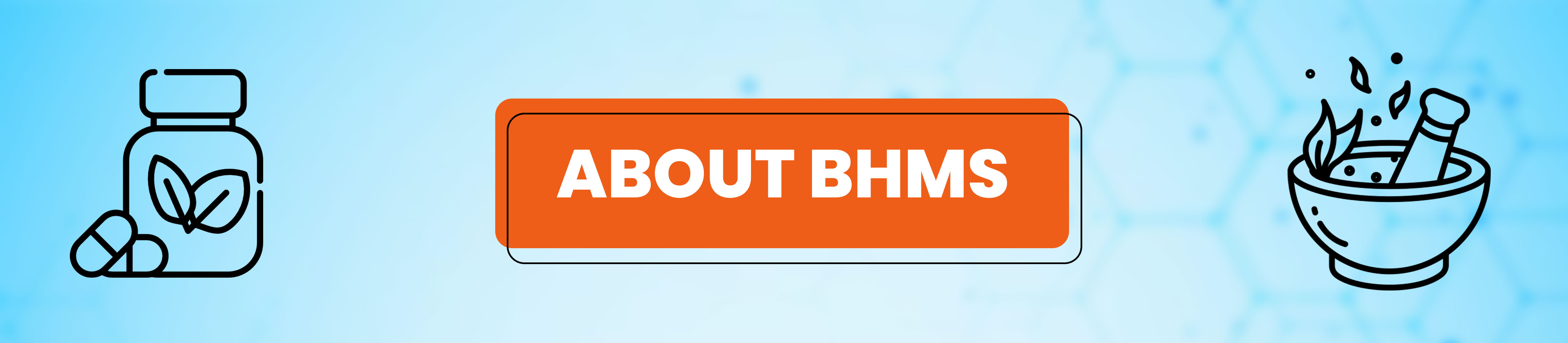 About BHMS